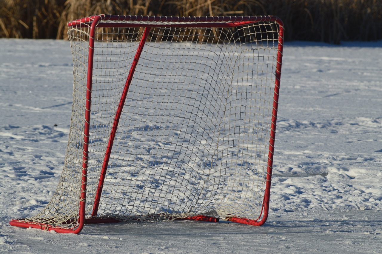 empty hockey net